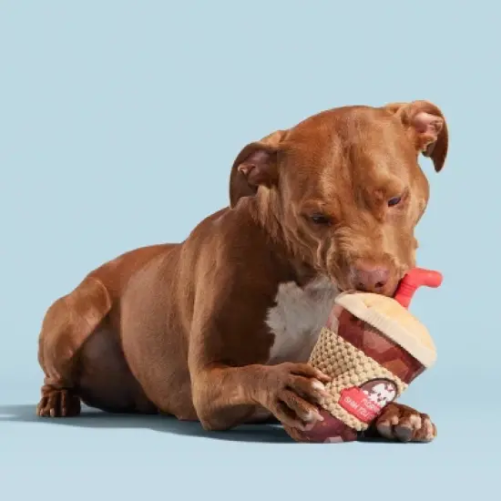 BARK Cold Chew Coffee Dog Toy image {2}