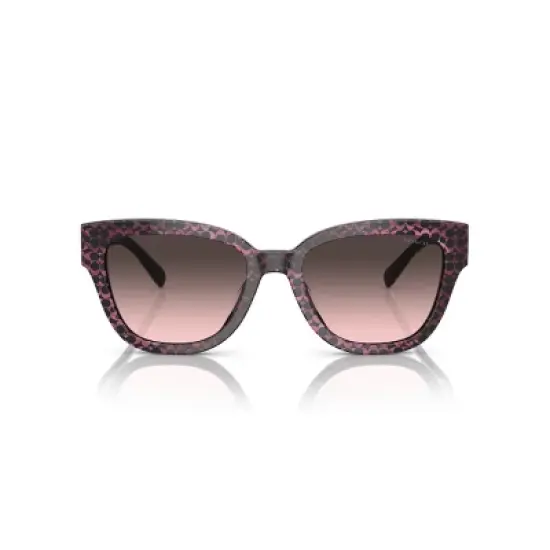 Coach HC8379U 54mm Female Butterfly Sunglasses image {1}