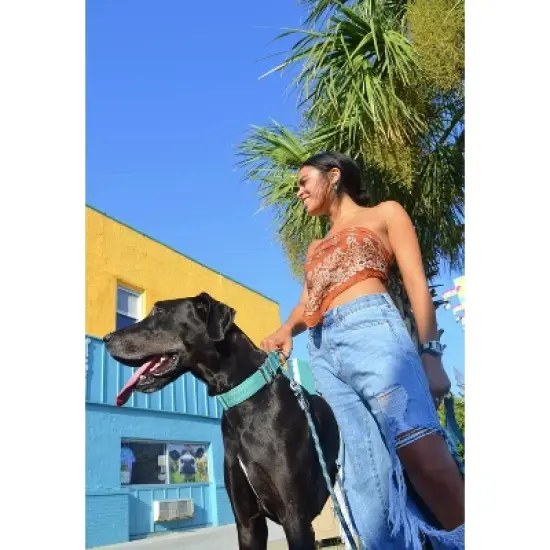 Black Rhino Tactical Neoprene Padded Dog Collars image {2}