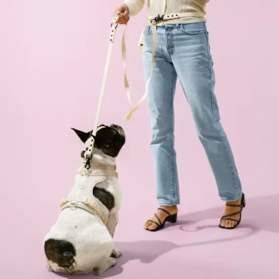 THE LICKER STORE Luna 8FT Adjustable 6-in-1 Waterproof Hands-Free Leash and Collar with LED Flashlight, Bag Dispenser, and Poop Bag Holder image {1}