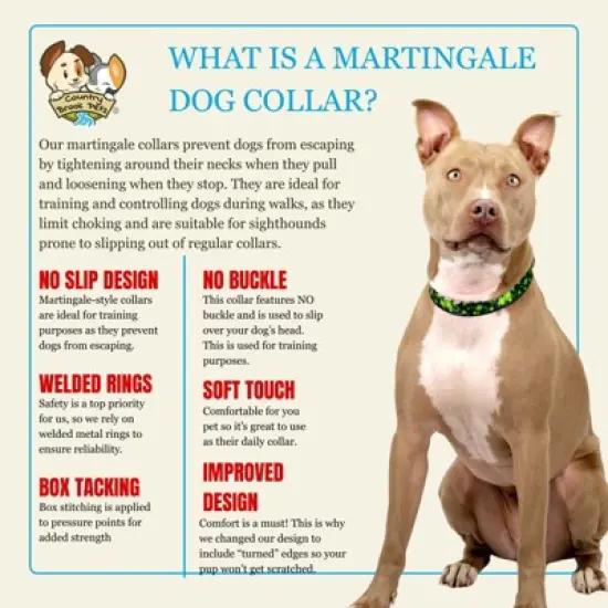 Country Brook Petz HossFit Jr Wide Martingale Dog Collar - Irish Pride image {4}