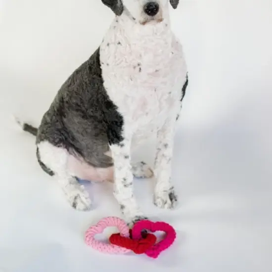 Midlee Interlocking Heart Rope Valentine Dog Toy - 6" image {5}