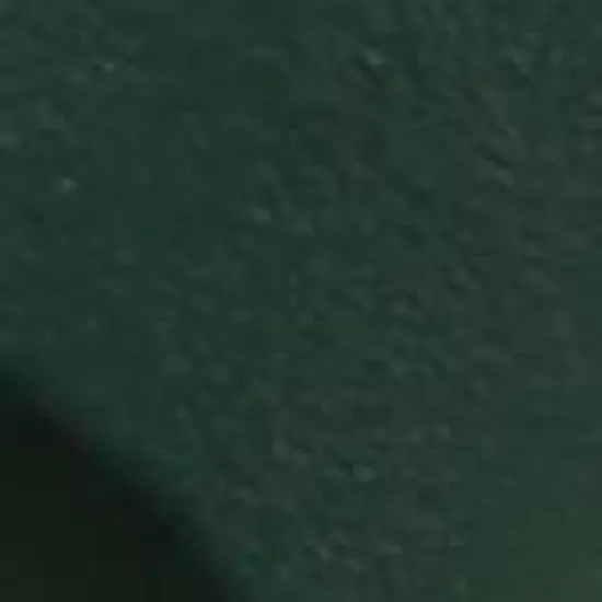 Vickerman Berry LED Single Mold Christmas Light Set image {2}