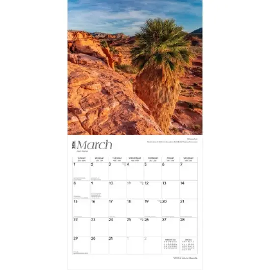 BrownTrout Nevada Wild and Scenic 2026 12"x24" Hanging Square Wall Calendar Plastic-Free image {2}