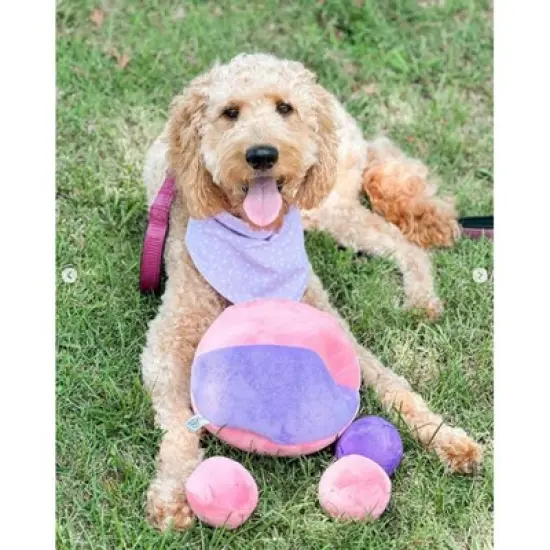 Midlee Hide a Ball Dog Toy - Pink/Purple image {5}
