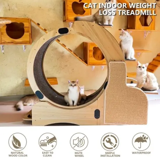 Cat Running Wheel For Large Cat Up To 44Lbs,  Cat Exercise Wheel With Silent Wheel-Cuddlewood image {5}