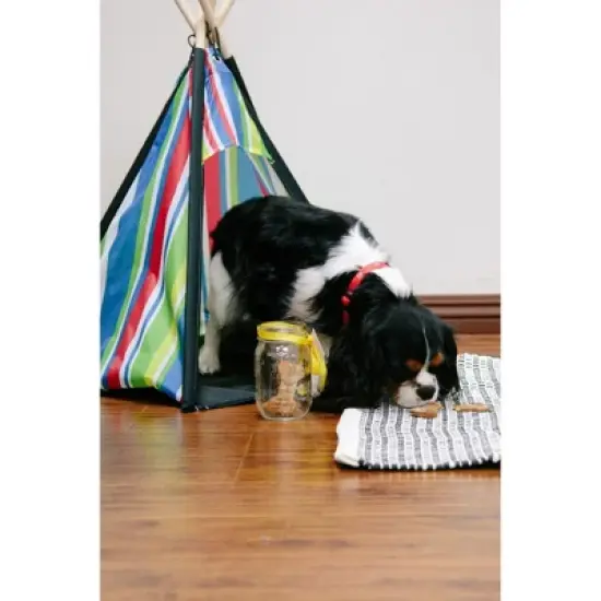 Cozy Pet Indoor Dog House image {2}
