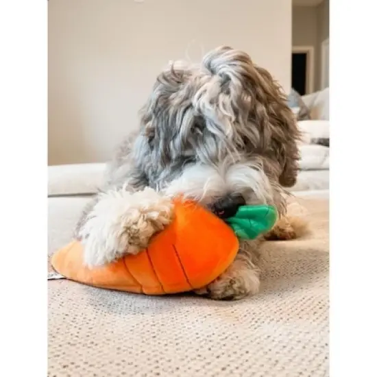 Midlee Hide a Toy Carrot Easter Dog Toy image {3}