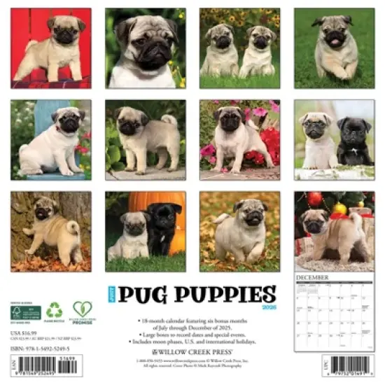 Willow Creek Press 2026 Pug Puppies Wall Calendar image {1}