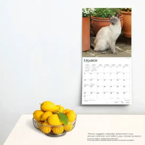 Browntrout 2024 Wall Calendar 12"x12" Siamese Cats image {3}