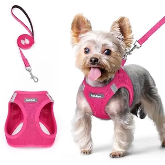 rabbitgoo Dog Harness Small Sized image {6}