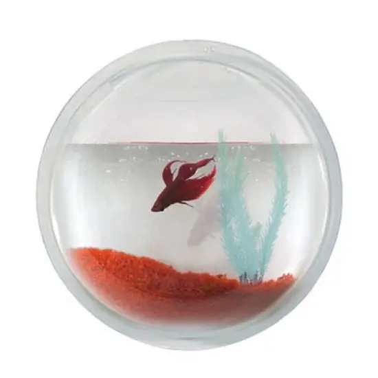 Modern Home Fish Bubble Aquarium - Deluxe Acrylic Wall Mounted Fish Tank image {4}