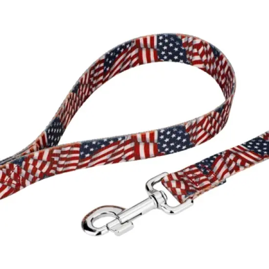 Country Brook Petz Premium Patriotic Tribute Collar and Leash image {6}