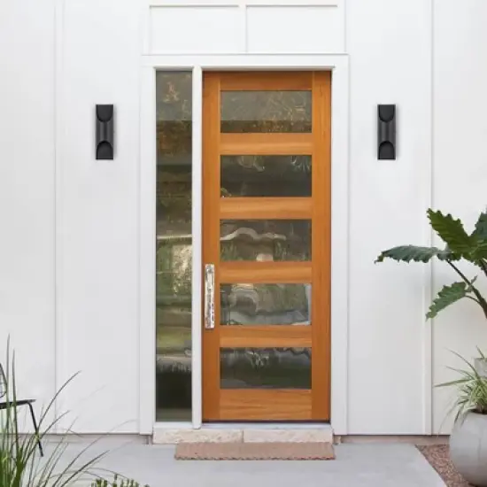 C Cattleya 2-Light Matte Black Integrated LED Outdoor Hardwired Wall Lantern Sconces (2-Pack) image {5}