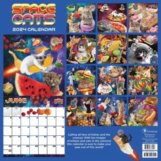 TF Publishing 2024 Wall Calendar 12"x12" Space Cats image {4}
