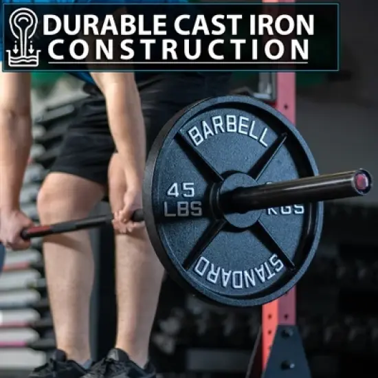 Synergee Standard Metal Weight Plates image {6}