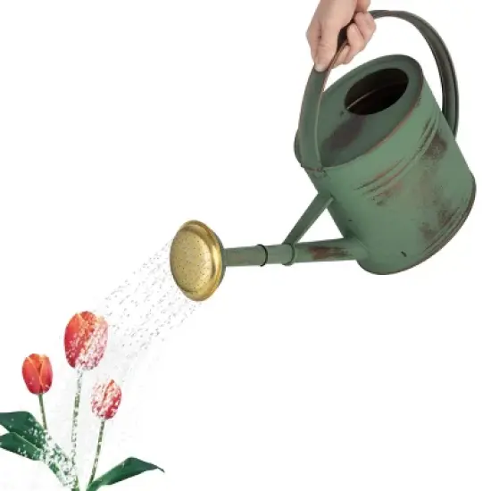 Kings County Tools Copper-Plated 1Gal Watering Can image {6}