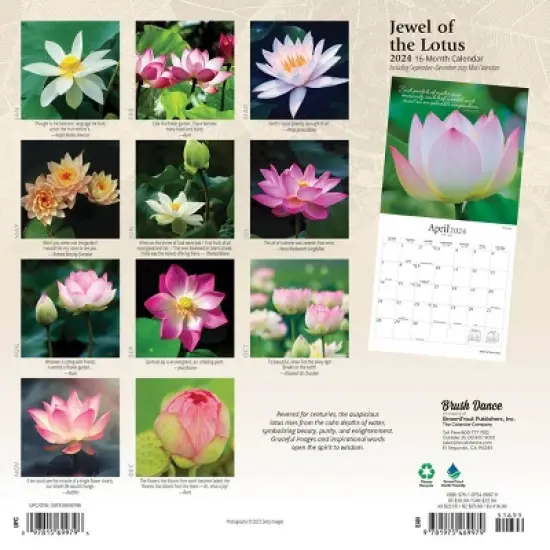 Brush Dance 2024 Wall Calendar 12"x12" Jewel of the Lotus image {1}