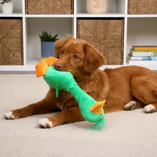 TrustyPup Long Neck Duck Dog Toy image {3}