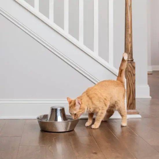 PetSafe Seaside Stainless Pet Fountain - Black image {4}