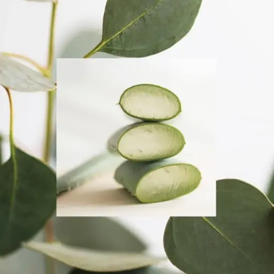 Raw Sugar The Scalp Scrub Micro Polish - Eucalyptus + Aloe - 5 fl oz image {5}