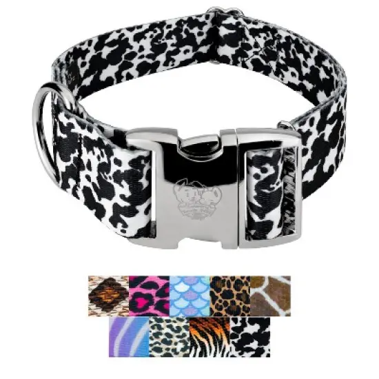Country Brook Petz HossFit Jr Wide Premium  Dog Collar - Animal Print Collection image {4}