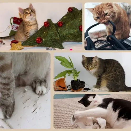 FURNIinspire3-Level Cat Tree with Sisal Scratching Posts, Fun Cat Badminton Toy for Playing, Soft Cushions & Play Areas, 25.5"*17.75"*46.5" image {3}