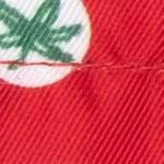 The License House Ohio State Buckeyes Dog Tossed Decals Slide-On Bandana image {2}