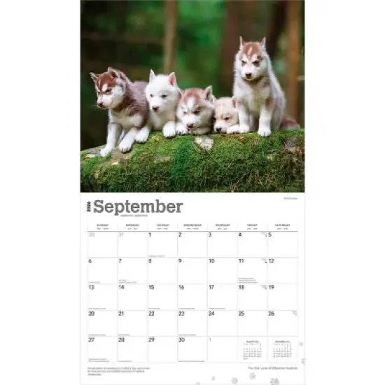 BrownTrout For the Love of Siberian Huskies 2026 14"x24" Hanging Deluxe Wall Calendar Plastic-Free image {3}