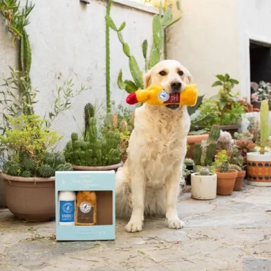 ZippyPaws Happy Hour Crusherz Spirits Dog Toy - 3pk image {2}