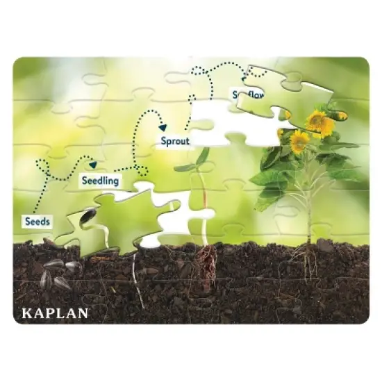 Kaplan Early Learning STEM Learning Realistic Animal and Plant Life Cycle Floor Puzzles - Set of 4 image {1}