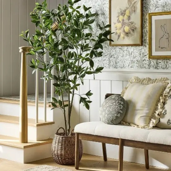 Bay Leaf Tree in Basket - Threshold&trade; designed with Studio McGee image {1}