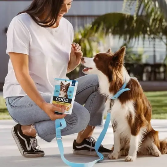 NOOD Pet Food Chicken Flavor Jerky Adult Dog Treats Sticks - 6oz image {4}