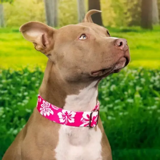 Country Brook Petz Premium Pink Hawaiian Dog Collar image {1}