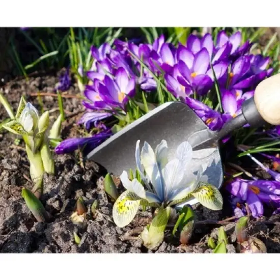 Tierra Garden Trowel image {9}