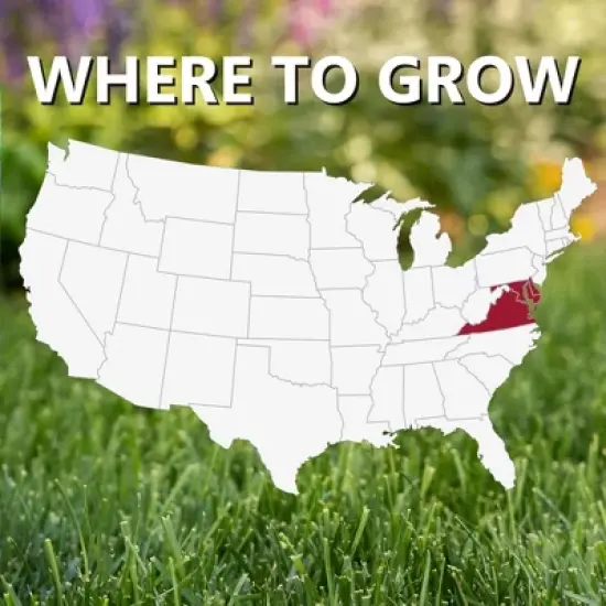 Jonathan Green Black Beauty Delmarva Mix Grass Seed image {3}