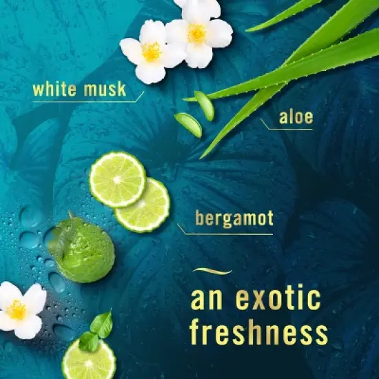 Febreze Luxe Plug Dual Refill Air Freshener - Rainforest - 1.75 fl oz/2ct image {6}