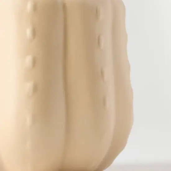 Pumped for Fall White Live Houseplant - Good Little Garden&trade; image {1}