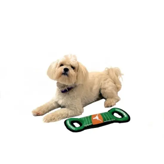 NCAA Texas Longhorns  Field Dog Toy image {2}