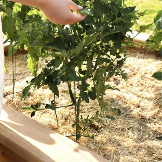 HealthiStraw GardenStraw Boxed &ndash; All-Natural, Clean, Sustainable Garden Straw Mulch for Gardens and Grass Seeding, Plastic-Free Packaging, 2 cu ft image {4}