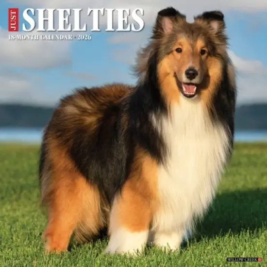 Willow Creek Press 12"x12" 2026 Shelties Wall Calendar image {5}