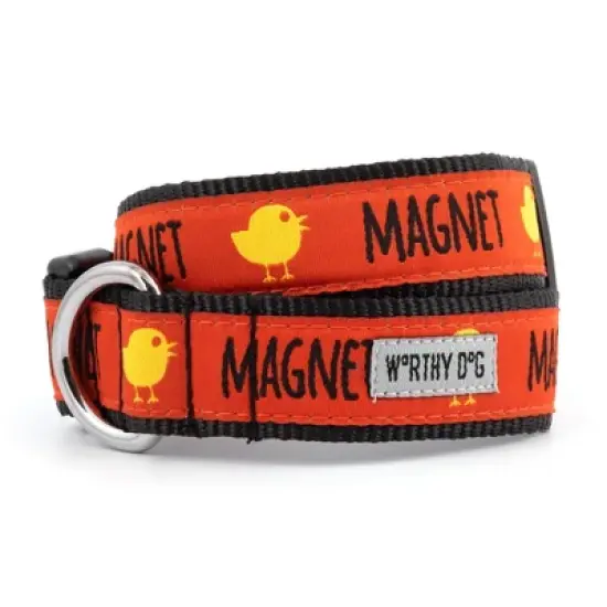 The Worthy Dog Chick Magnet Dog Collar image {1}