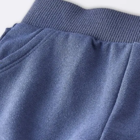 Baby Boys' 2pc Fox Applique Sweatshirt & Shorts Set - Cloud Island&trade; Navy Blue image {3}