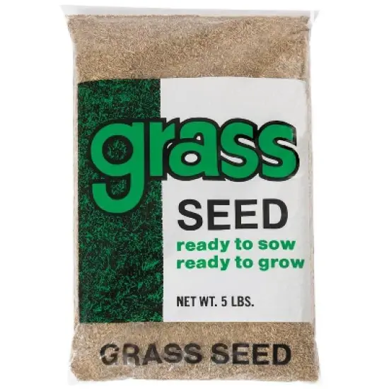 Barenbrug Annual Ryegrass Partial Shade/Sun Grass Seed 5 lb image {1}