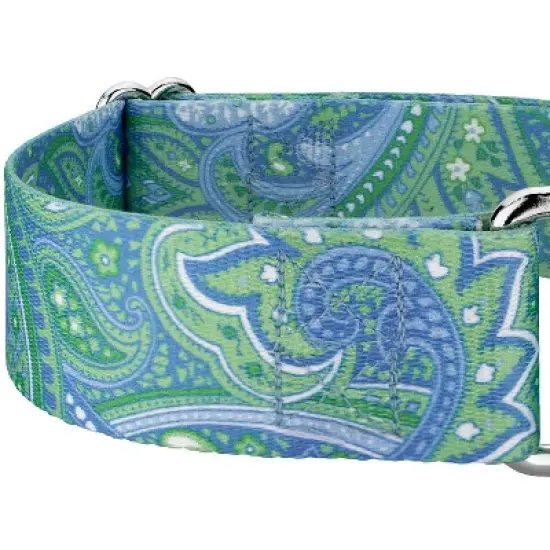 Country Brook Petz 2 Inch Green Paisley Martingale Dog Collar image {3}