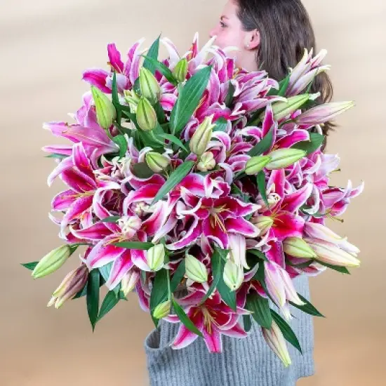 Fresh Cut Oriental Lily Flowers - 30 Stems image {1}