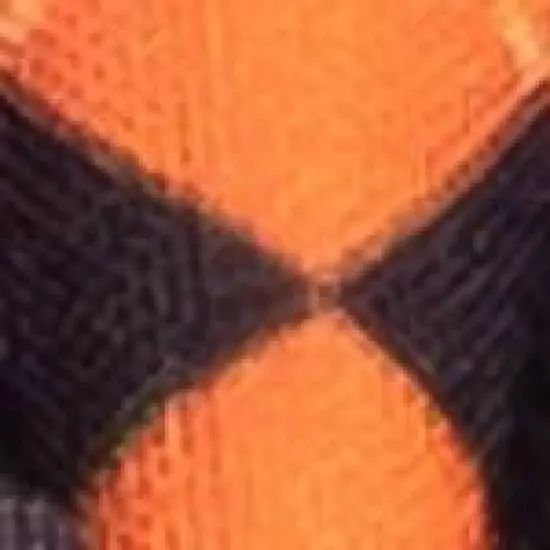 The Worthy Dog Halloween Argyle Flower Adjustable Collar Attachment Accessory image {2}