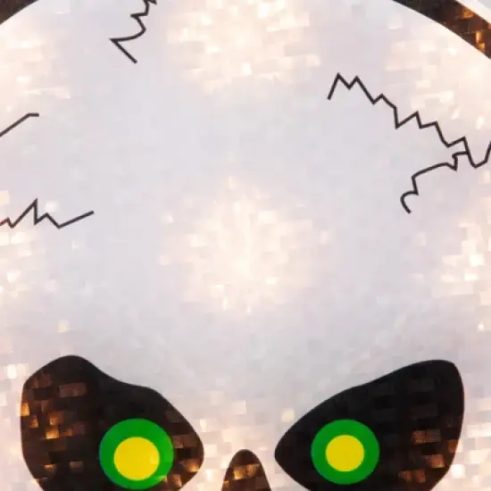 Northlight Lighted Holographic Halloween Skull Window Silhouette - 12" - Clear Lights image {8}