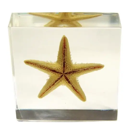 Kaplan Early Learning Animal & Plant Specimen Sets image {3}