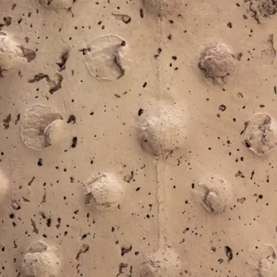 Storied Home Round Sandstone Hobnail Planter with Distressed Finish, Greige image {4}